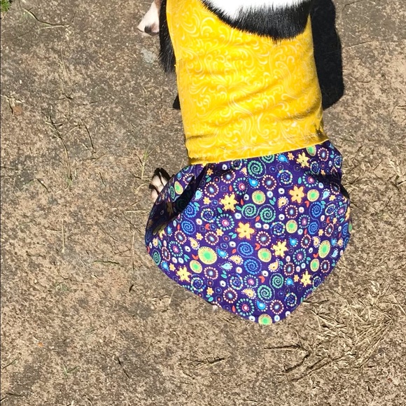 Cute custom made dog dress12-14 lbs spring - Picture 5 of 9